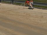 Golden Rabbit European Sandtrack-Derby Th. Ernst (112)